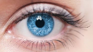 صورة علاج العمى الوراثي عند الكبار .. نتائج مثيرة لأحدث الأبحاث